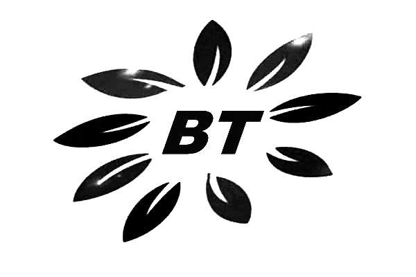 软化水反渗透阻垢剂Bitu-BT0110采用小分子有机物专利技术配方