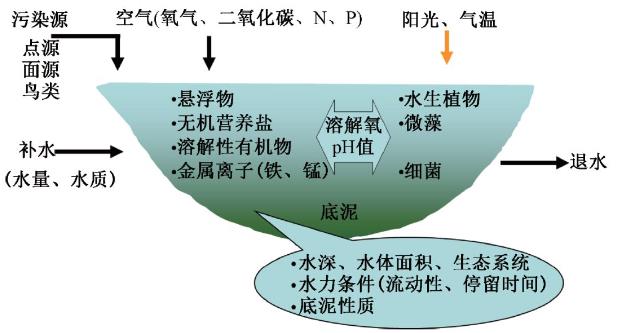 图1 影响水体水质的关键要素
